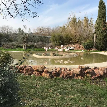Dina's House Σπάτα