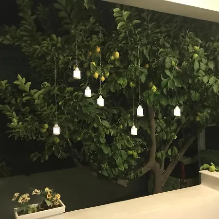 Dina's House * Σπάτα
