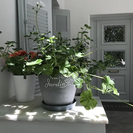 Dina's House * Σπάτα
